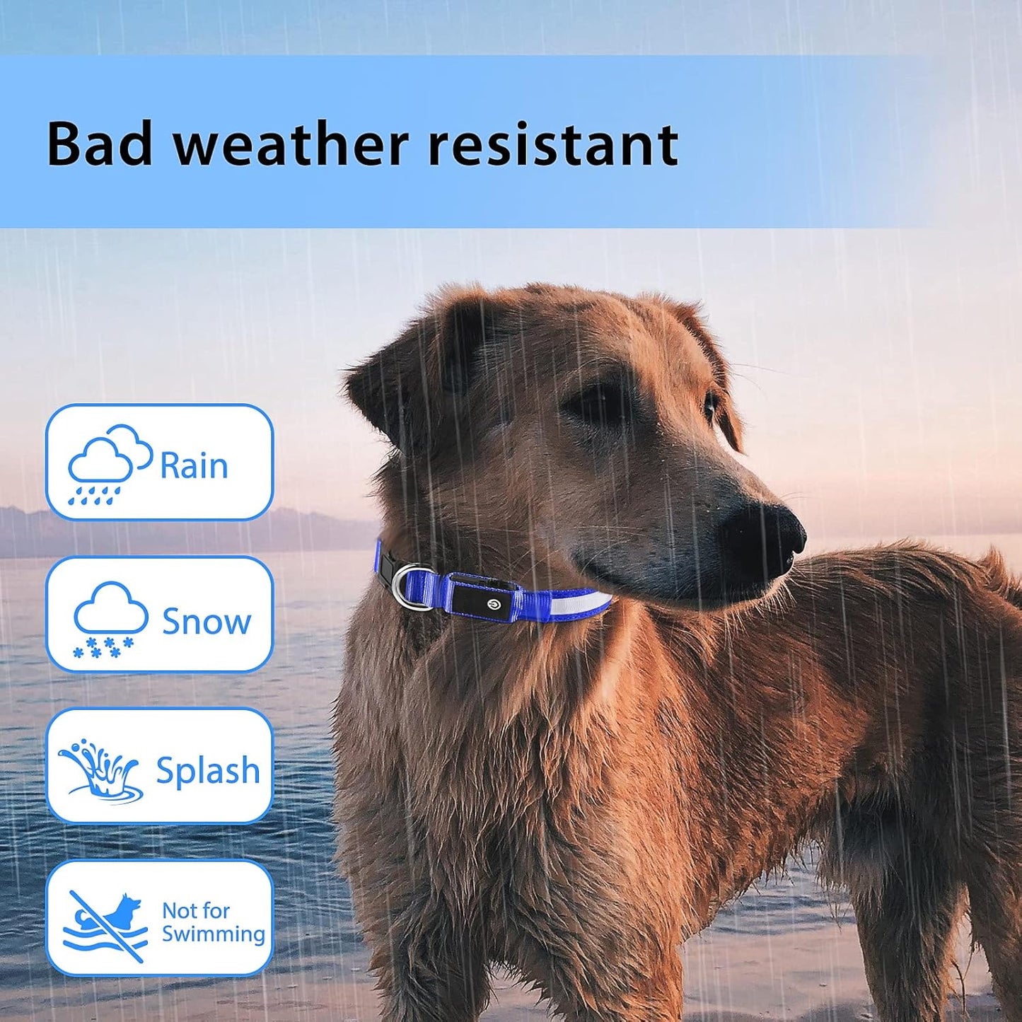 ODALIT™ Light up Dog Collar for Night Walking - LED Dog Collar Light Rechargeable Color Changing, Glow in The Dark Dog Collars Waterproof Glowing Dog Collars for Large Small Medium Dogs