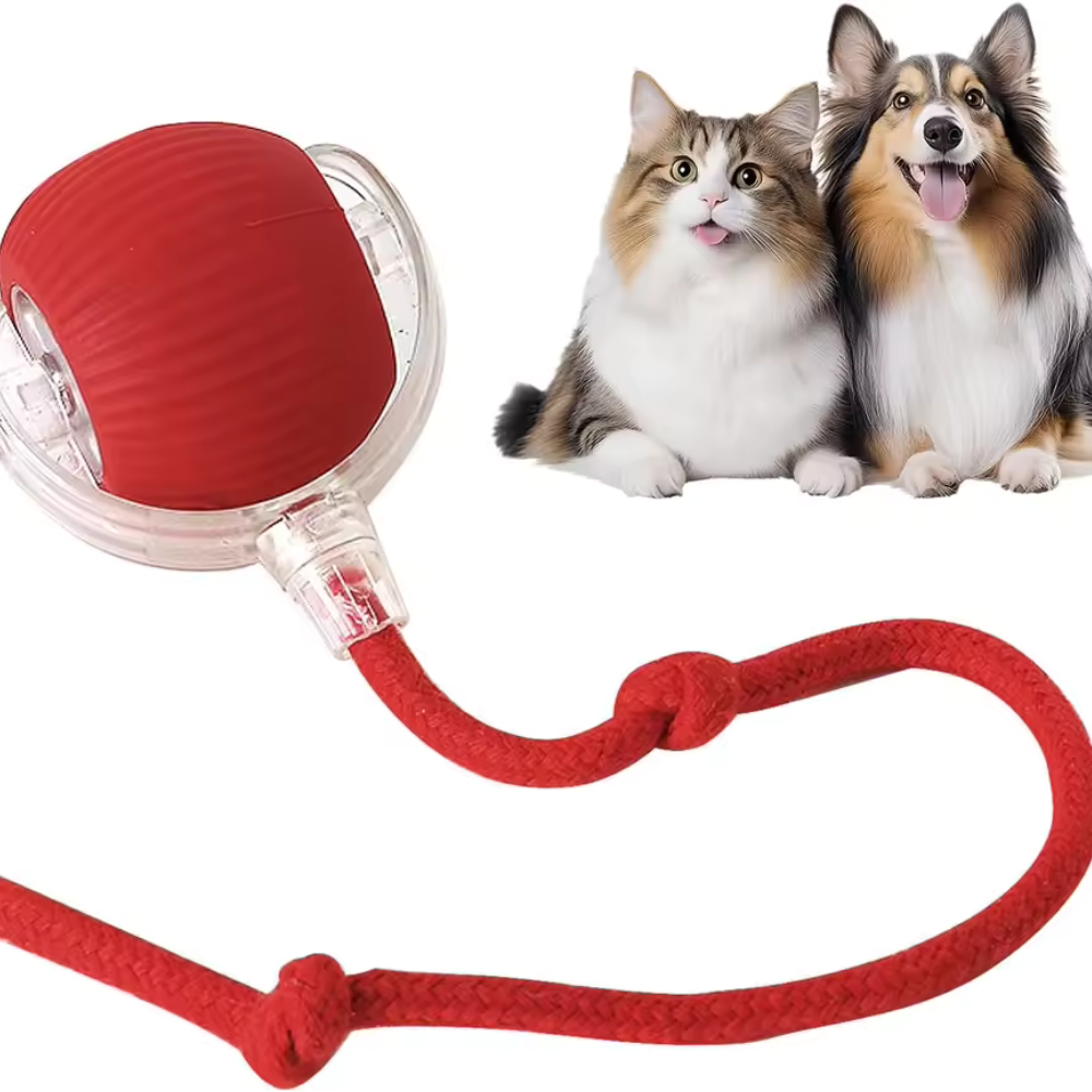 ODALIT™ Self-Moving Cat Toy Ball – 360° Auto-Rolling, Smart Interactive Pet Ball for Indoor Cats & Small Dogs – Fast & Engaging Play