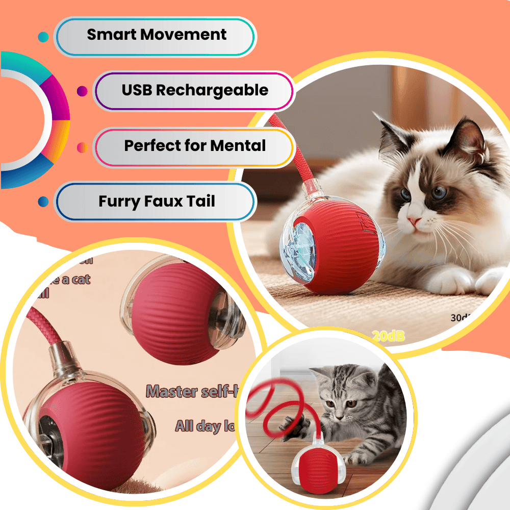 ODALIT™  Self-Moving Cat Toy Ball – 360° Auto-Rolling, Smart Interactive Pet Ball for Indoor Cats & Small Dogs – Fast & Engaging Play