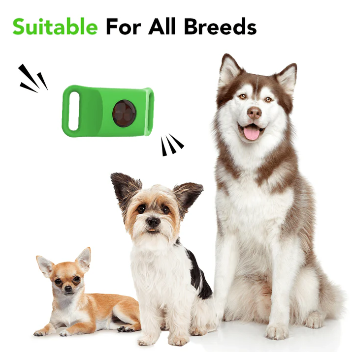 🐕Long-Lasting Flea & Tick Collar for Dogs and Cats - Continuous Protection🐕