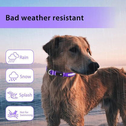 ODALIT™ Light up Dog Collar for Night Walking - LED Dog Collar Light Rechargeable Color Changing, Glow in The Dark Dog Collars Waterproof Glowing Dog Collars for Large Small Medium Dogs