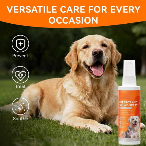 Itch Relief Spray –Vet Recommended Skin Soothing Quantum Silver Spray for Dogs & Cats