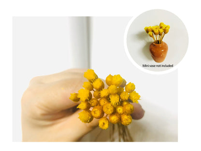 🎁Early Christmas🌸- Mini Ceramics Vase Fridge Magnet