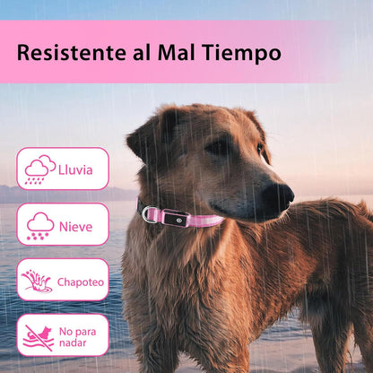 ODALIT™ Light up Dog Collar for Night Walking - LED Dog Collar Light Rechargeable Color Changing, Glow in The Dark Dog Collars Waterproof Glowing Dog Collars for Large Small Medium Dogs