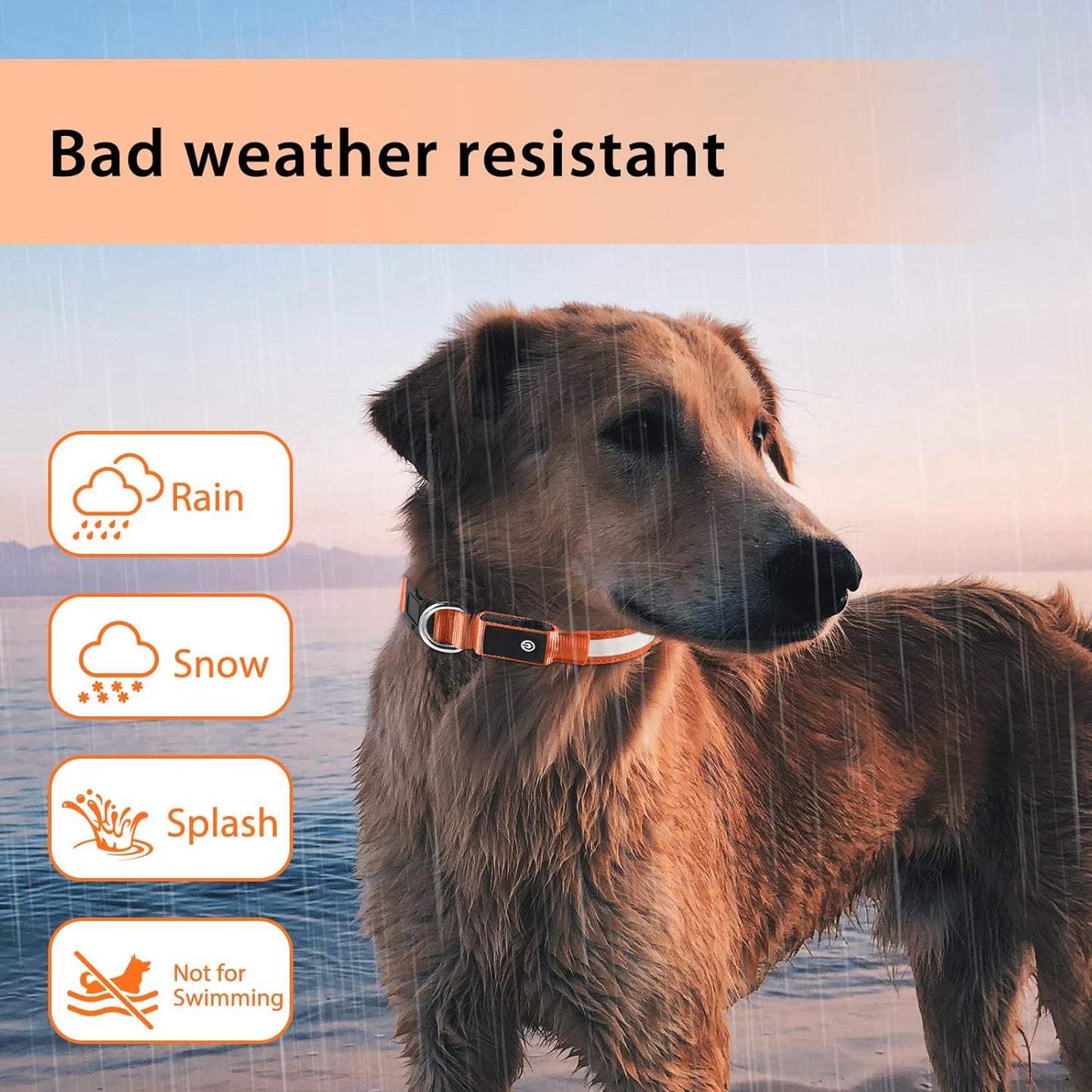 ODALIT™ Light up Dog Collar for Night Walking - LED Dog Collar Light Rechargeable Color Changing, Glow in The Dark Dog Collars Waterproof Glowing Dog Collars for Large Small Medium Dogs