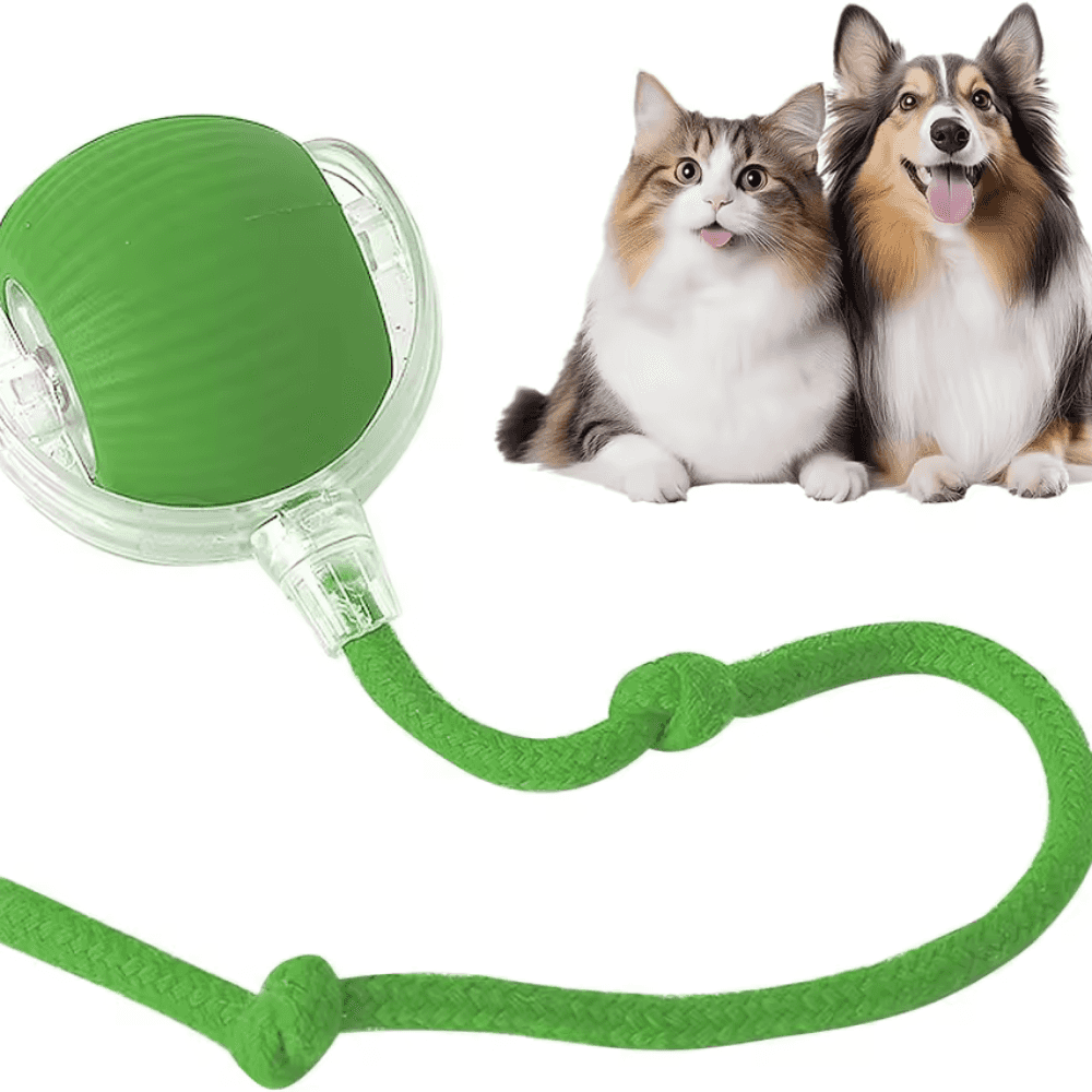 ODALIT™  Self-Moving Cat Toy Ball – 360° Auto-Rolling, Smart Interactive Pet Ball for Indoor Cats & Small Dogs – Fast & Engaging Play