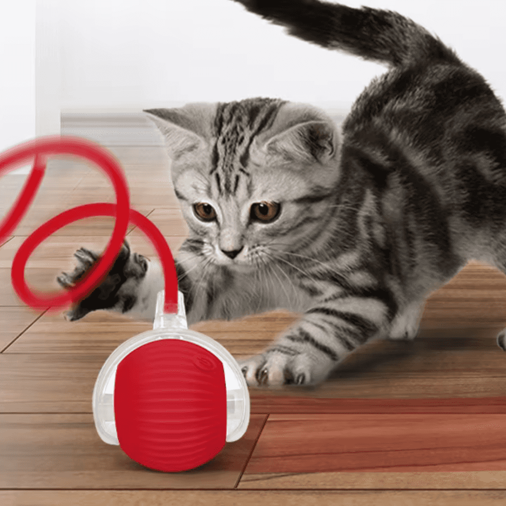 ODALIT™  Self-Moving Cat Toy Ball – 360° Auto-Rolling, Smart Interactive Pet Ball for Indoor Cats & Small Dogs – Fast & Engaging Play