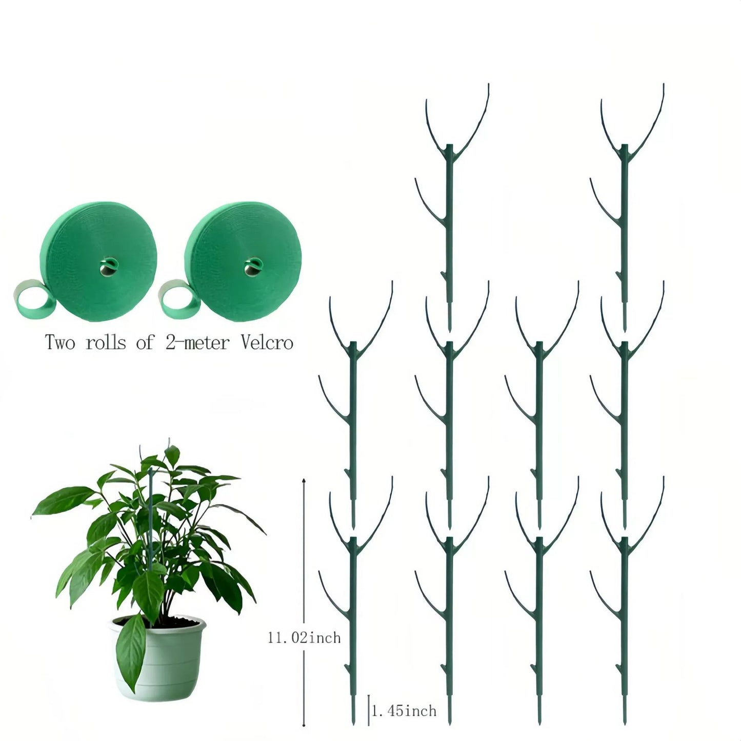 🔥Last Day 49% OFF💖🌿 5 Pack Plant Support Stakes
