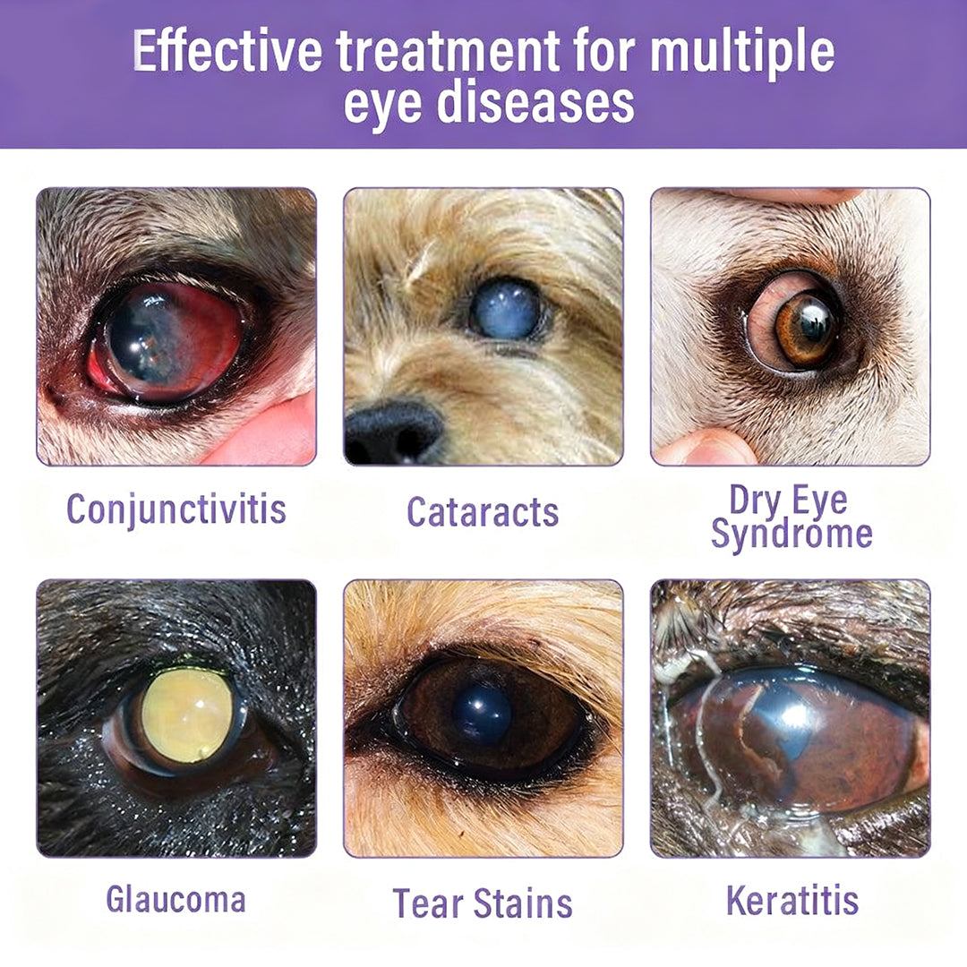 👩‍⚕️ ODALIT™ NanoCare Pet Eye Drops | Relieves Conjunctivitis, Dry Eyes, Cataracts, and Keratitis🐶