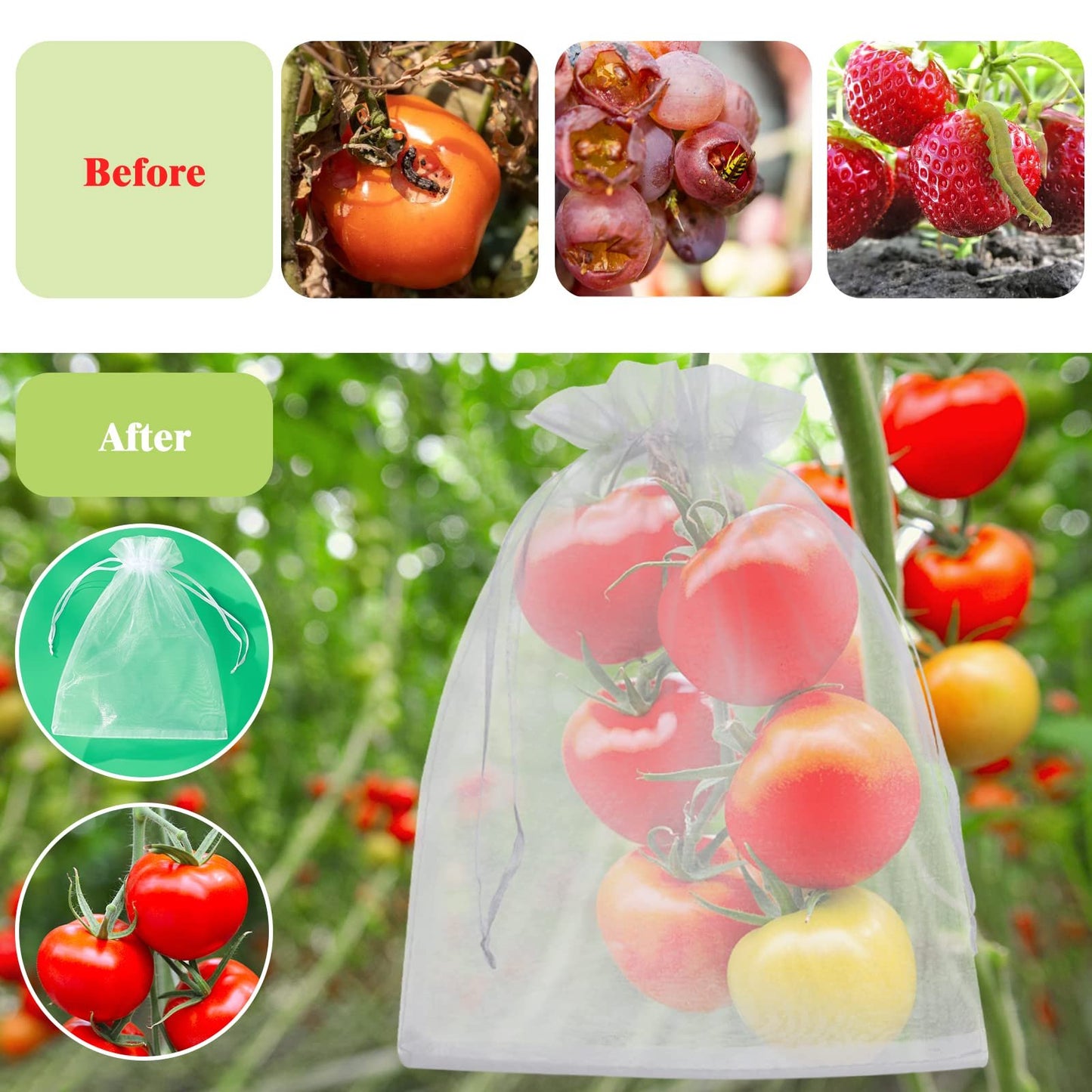 🔥Last Day 49% OFF🔥Fruit Protection Bags