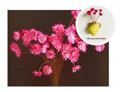 🎁Early Christmas🌸- Mini Ceramics Vase Fridge Magnet